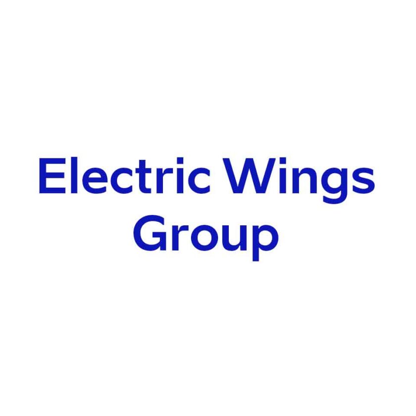 Electric Wings Group